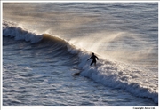 Cornwall Surfer 1